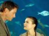 EL-DESTINO-DE-LOS-HASTINGS-PELICULA-COMPLETA-300×169