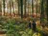 ¿SABES QUE SON LOS BAÑOS DE BOSQUE? 