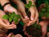 La importancia de la biodiversidad para el equilibrio ecológico